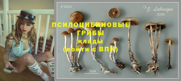 винт Баксан